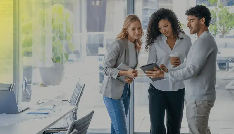 Entrepreneurship Capstone_Webp