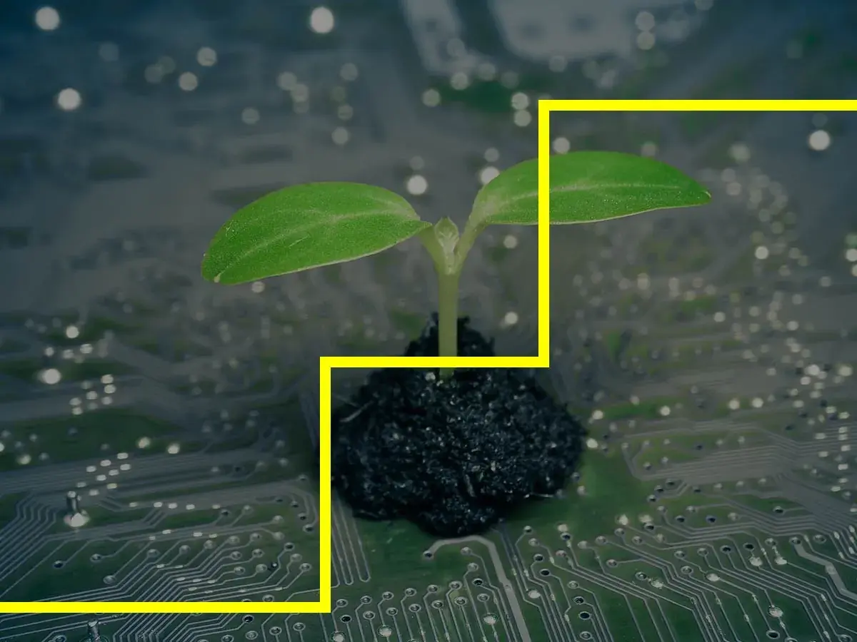 environmental science_webp