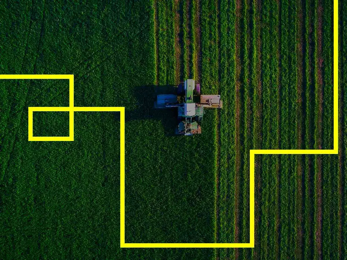 food-and-agribusiness_Webp